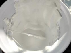 Aerogel Coating