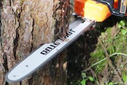 Automatic Chainsaw Gains Ground with Safer, Smarter Cutting