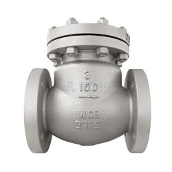 check valve maintenance