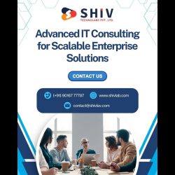 IT Consulting Solutions by Shiv Technolabs