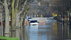 What Insurance Options Cover Basement Water Damage?