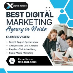 Best Digital Marketing Company in Noida for Business Growth