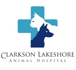 Safe anesthesia free dog teeth cleaning Mississauga at Clarkson Lakeshore Animal Hospital