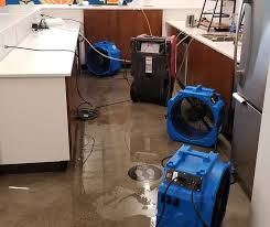 What Equipment Is Needed for Basement Flood Clean Up?