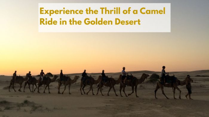 Experience the Thrill of a Camel Ride in the Golden Desert