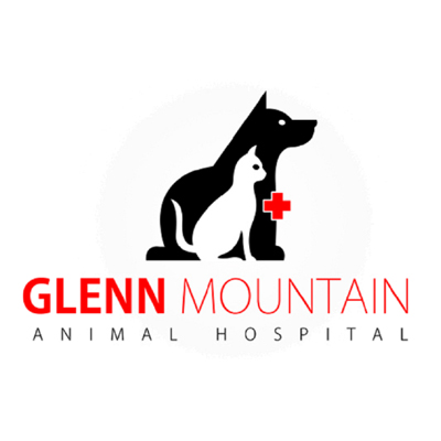 What Pet Owners Should Know About Veterinary Emergencies in Abbotsford