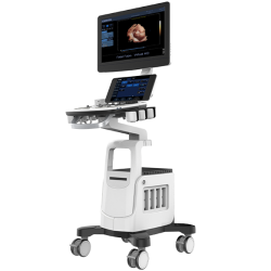 Ultrasound Machine for Therapy