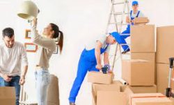 Moving Companies near Me Local Move Choices