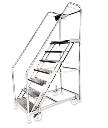 Cleanroom Adjustable Ladders