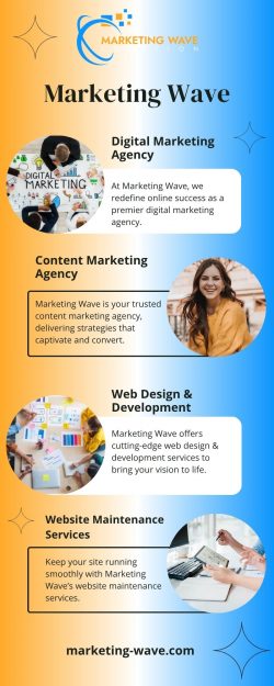 Professional Online Web Development Services