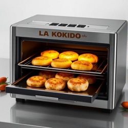 Why Broaster and Brosted Chicken are Taking Over Food Lovers’ Hearts – Only at Lakokido