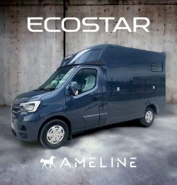 Premium Horse Boxes For Sale – Safe & Stylish Transport