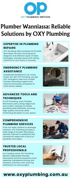 Plumber Wanniassa