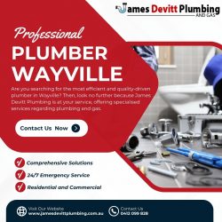 Plumber Wayville