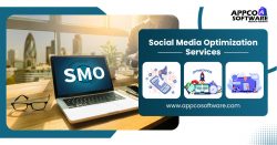 Expert Social Media Optimization Services in India