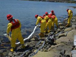 The Benefits of Hiring Professional Spill Response Services