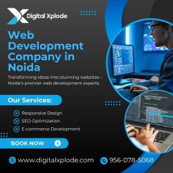 Top Web Development Company in Noida for Custom Website Solutions