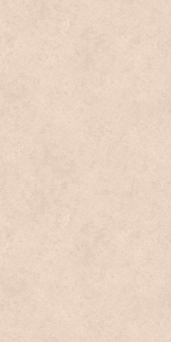 W240102 1200W Matte Finish SPC Wall board