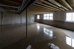 How to choose the right water mitigation company for your needs