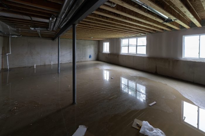 How to choose the right water mitigation company for your needs