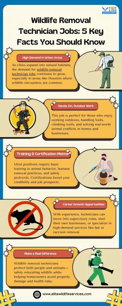 Wildlife Removal Technician Jobs 5 Key Facts You Should Know