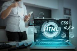 WordPress Development Company