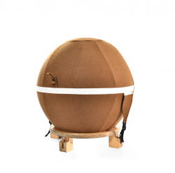 Functions and Applications of the Yoga Ball