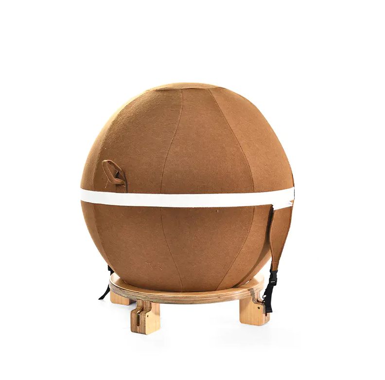 Functions and Applications of the Yoga Ball
