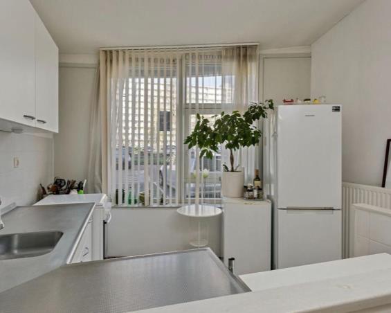 Book shared apartments for rent in Amsterdam