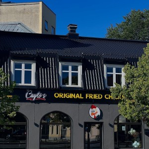 Enjoy Delicious Halal Meals and Fast Food at Caylos