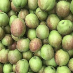 Kuerle fragrant pear supplier