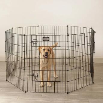 Collapsible Dog Cage Kennel Playpen Heavy Duty Pet Exercise Pen with Low Price