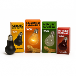 Reptile Heat Lamps