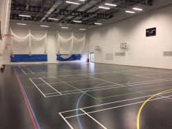 Basketball Goals and Hoops for Sports Halls | SES Sports Equipment Supplies