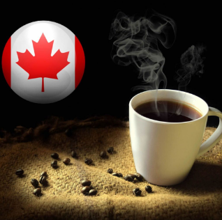 Choose Best Gourmet Coffee Beans Online