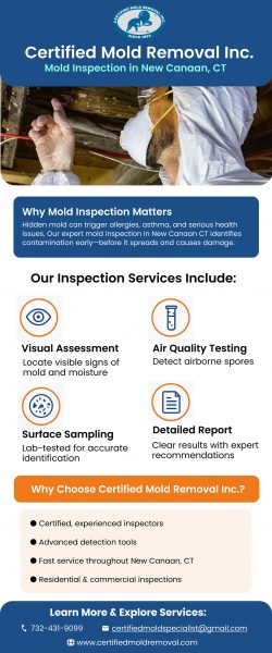Professional Mold Inspection in New Canaan CT for Safe Living