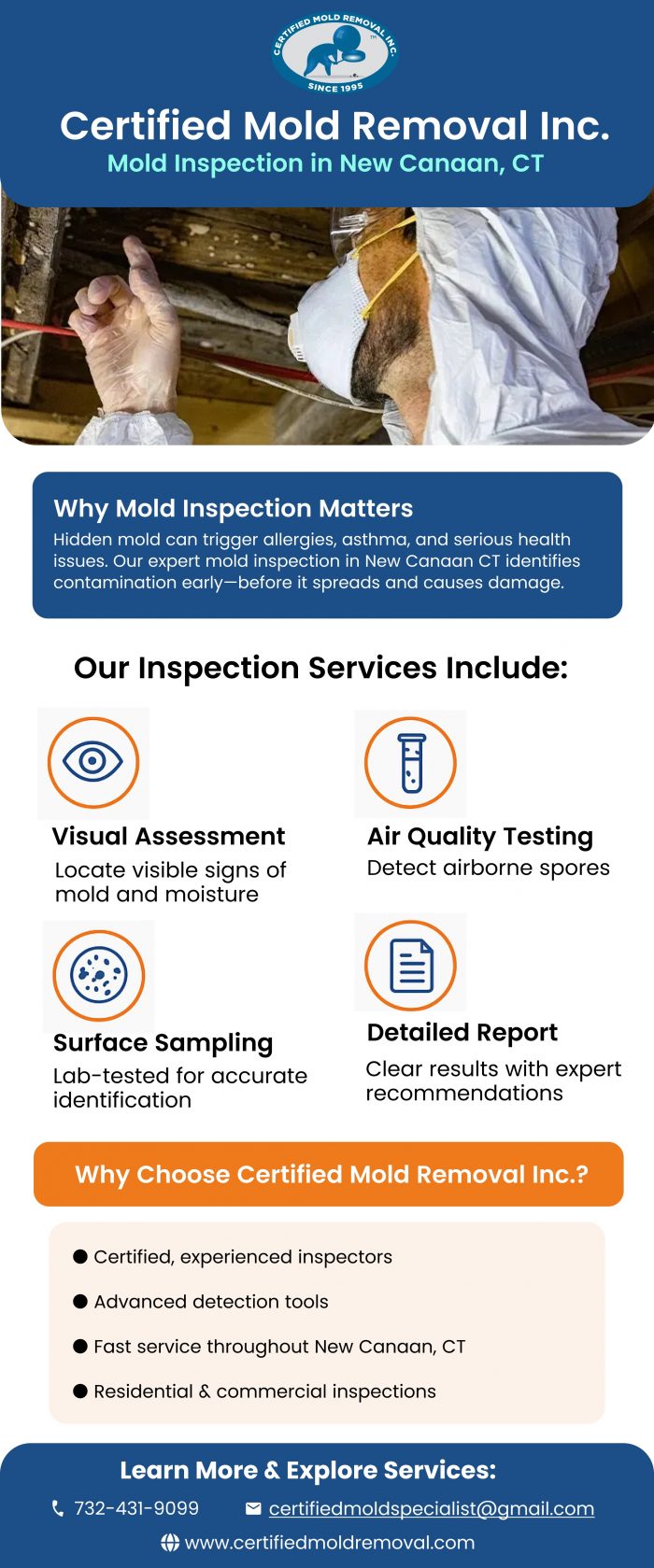 Professional Mold Inspection in New Canaan CT for Safe Living