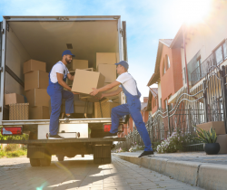 Which Courier Service in Dubai Fits Your Business Needs?