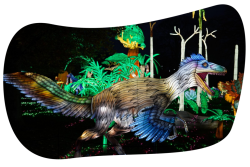 World-class festival lantern