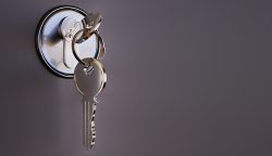 Smart Choices for Modern Workplaces: Commercial Office Doors & Security Doors Explained