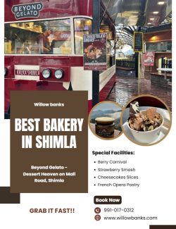 Fresh Flavors Await at the Best Bakery in Shimla