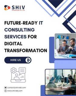 Reliable IT Consulting Services by Shiv Technolabs