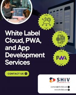Modern White Label IT Development Services by Shiv Technolabs