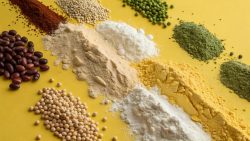 Pea Protein Manufacturer in India