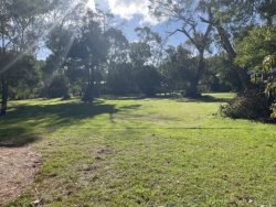 About Land Capability Assessments and the Importance of Septic Land Capability Assessment