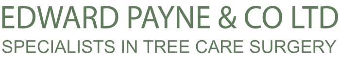 Ivy Removal – Edward Payne & Co