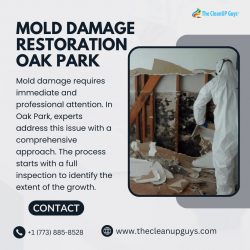 Mold Damage Restoration Oak Park