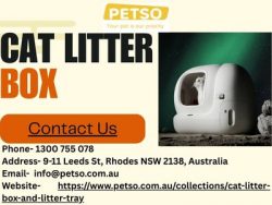 Premium Cat Litter Boxes & Trays – Hygienic, Stylish & Easy to Clean | Petso