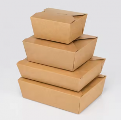 Eco-Friendly Disposable Paper Boxes for Food