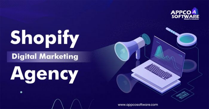 Top Shopify Digital Marketing Agency in India